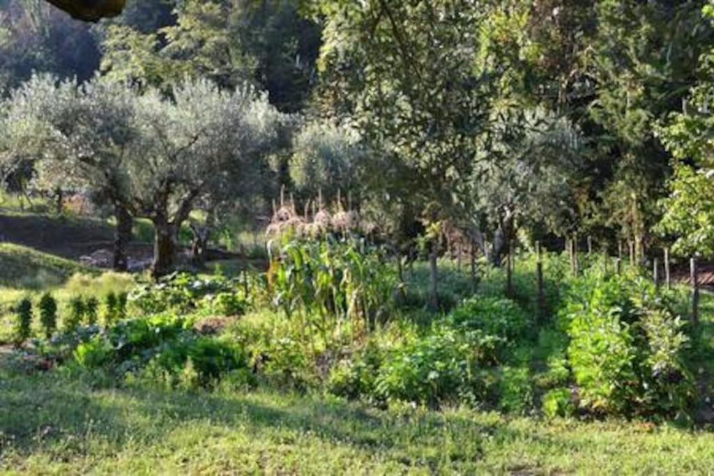 Villa De Luccheri Frasso Telesino Eksteriør billede
