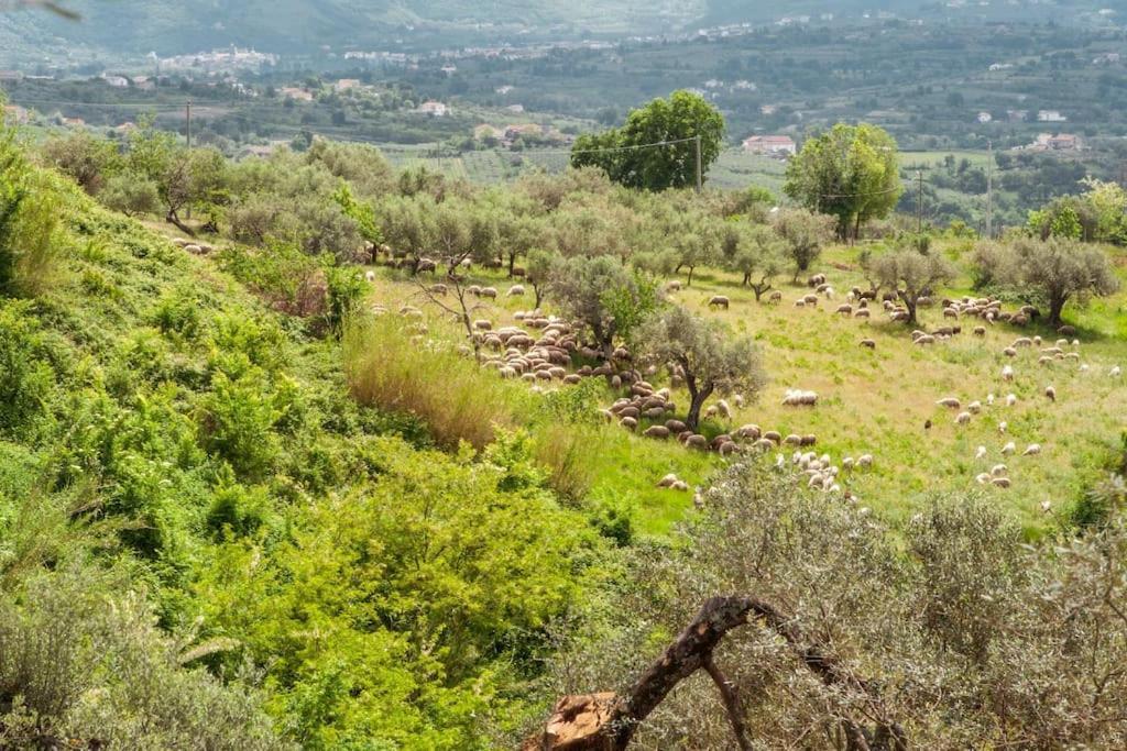 Villa De Luccheri Frasso Telesino Eksteriør billede