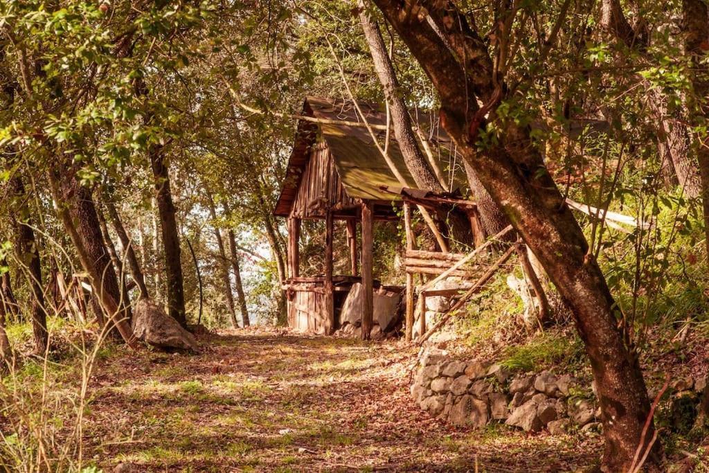 Villa De Luccheri Frasso Telesino Eksteriør billede